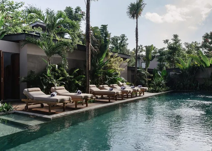 The Akasha 4*